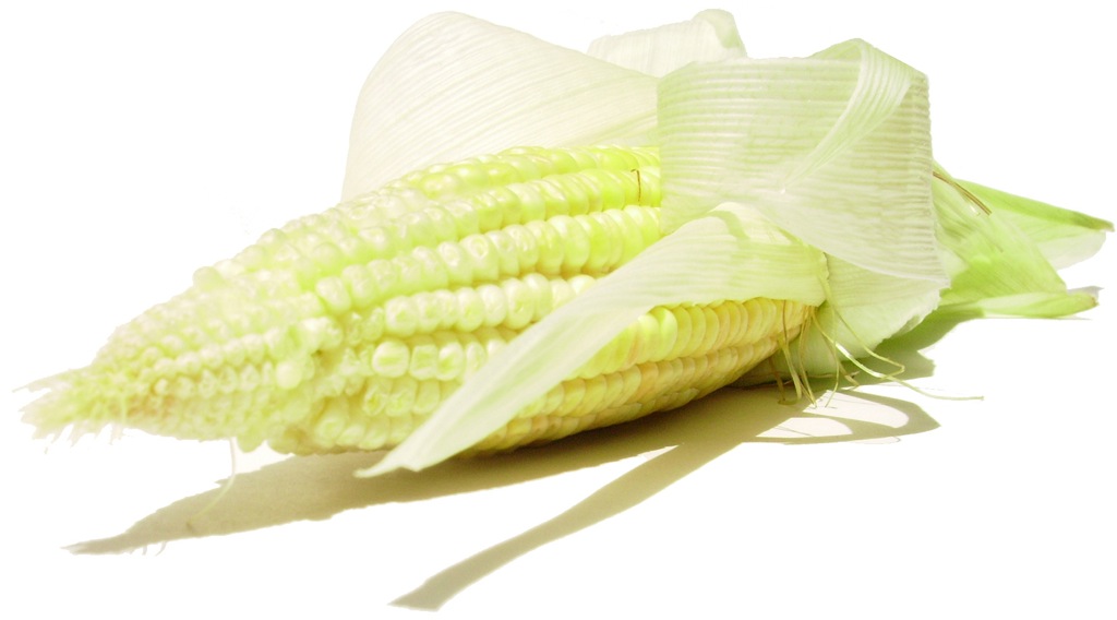 corn-2.jpg