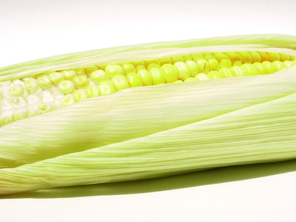 corn.jpg