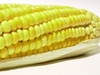 corn-4.jpg