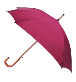 umbrela